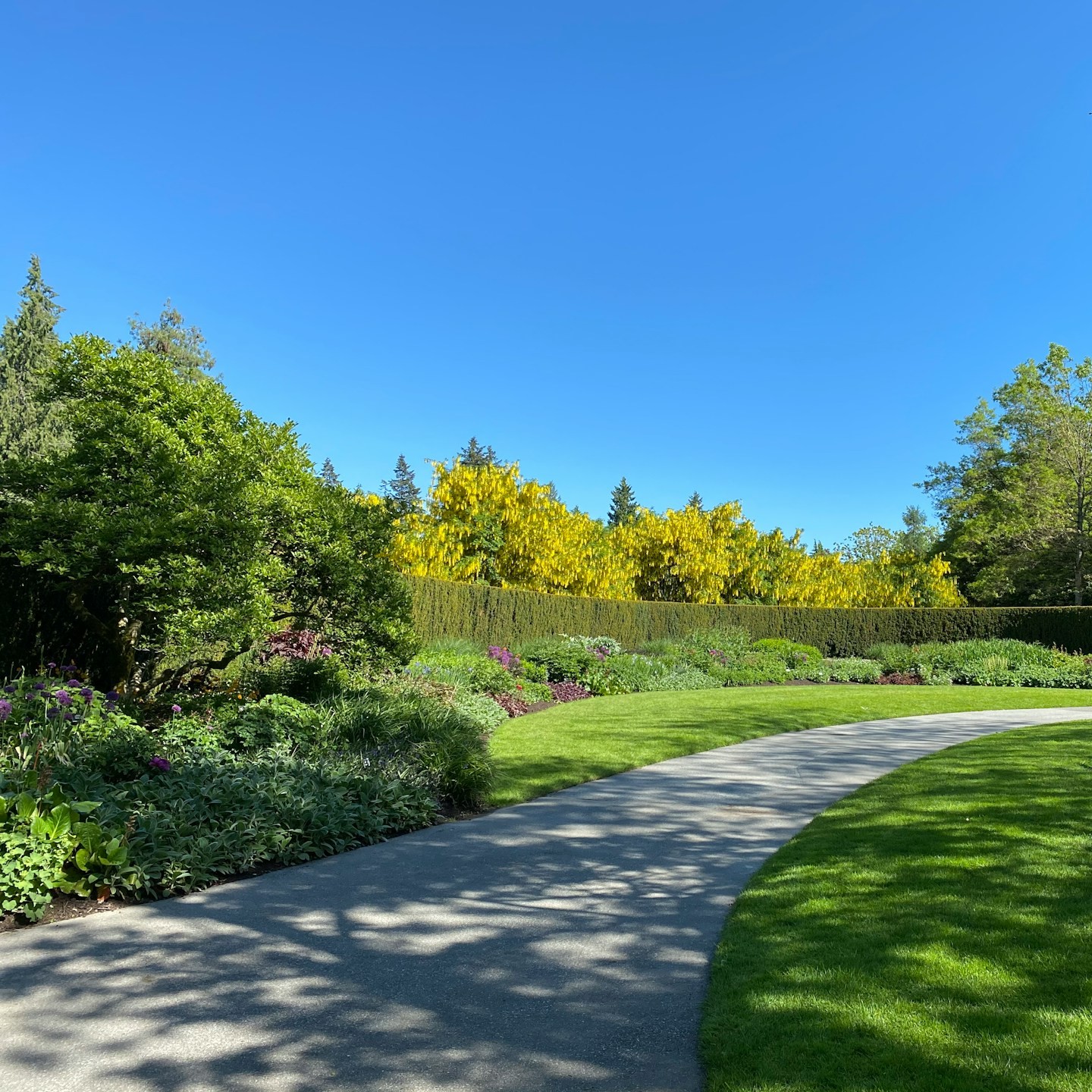 joging-track-in-between-park